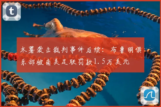 木薯袭击裁判事件后续：布鲁明俱乐部被南美足联罚款1.5万美元